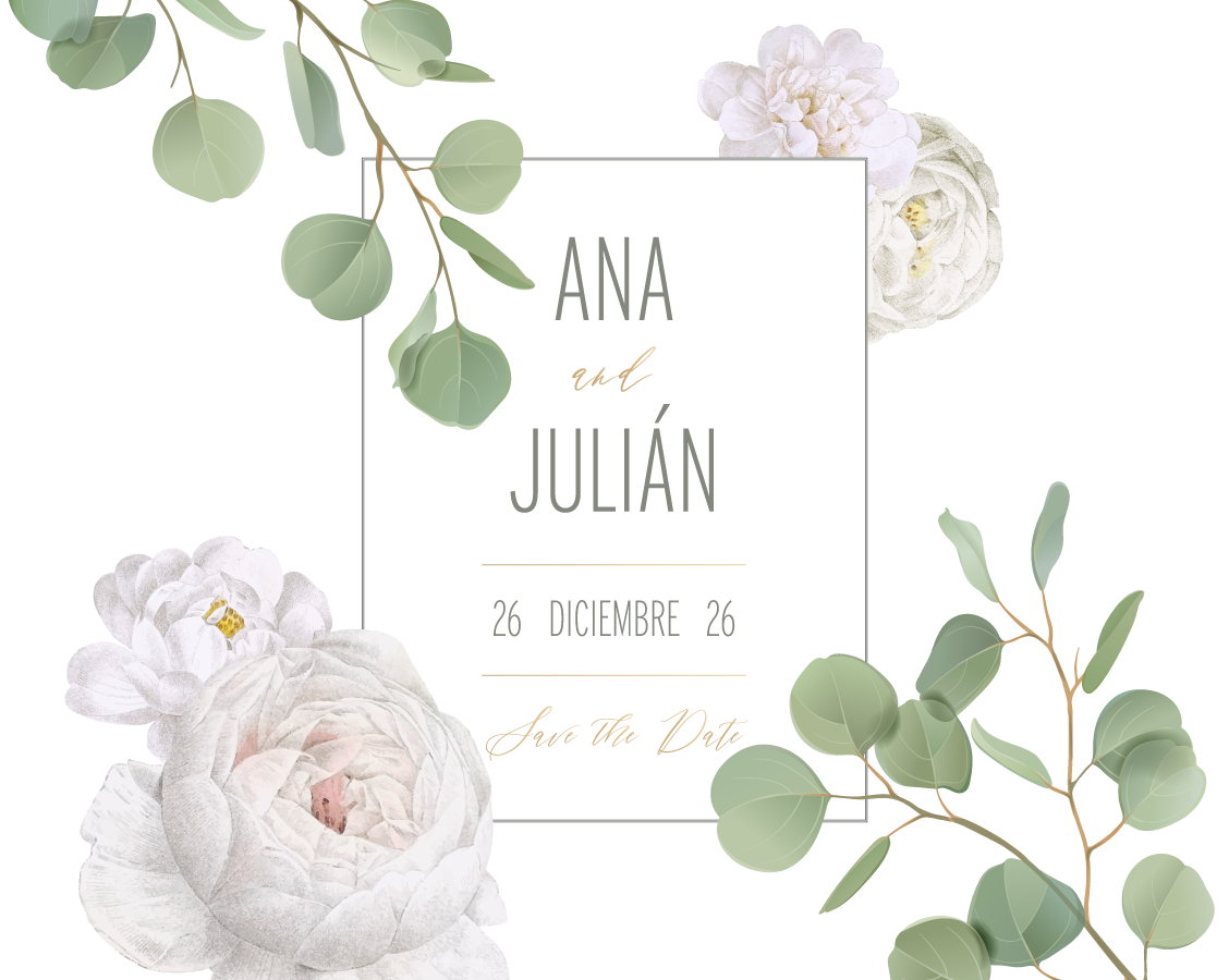 boda-oliva-logo-2